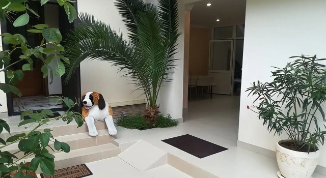 Sabrina Guest House