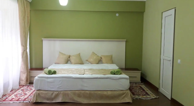 Двухместный номер Standard с балконом и с красивым видом из окна Goris Hotel