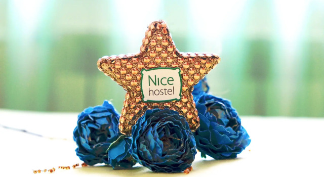 Хостел Nice