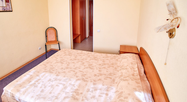 Standardní Dvoulůžkový s manželskou postelí pokoj Volna Hotel
