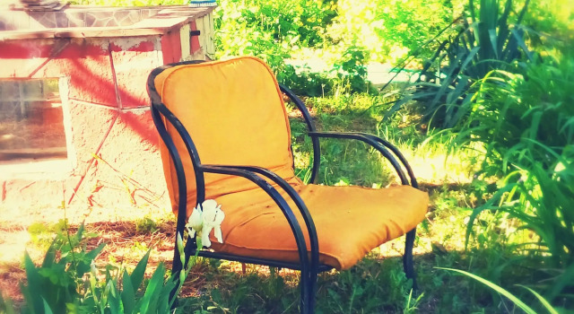 Vishneviy Sad Guest House, Boek Pension Brestnik Plovdiv