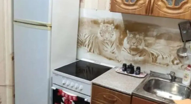 Odnokomnatnye V Tsentre Goroda Apartment, Réserver Appartement Olenegorsk Murmansk Region