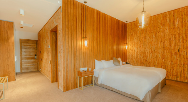 Двухместный номер Улучшенный с балконом и с красивым видом из окна Mtserlebi Resort