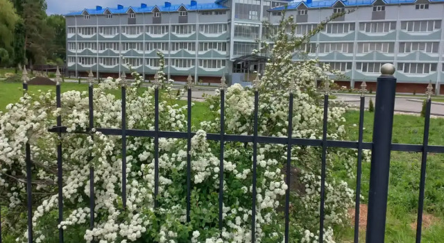 Отель Лагуна