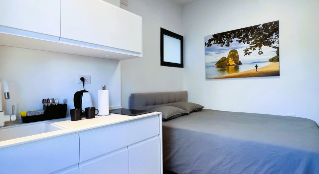 Студия Deluxe Апартаменты White Door Apartments
