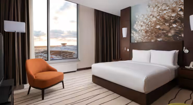 Люкс Бизнес-класс DoubleTree by Hilton Moscow - Внуково Аэропорт