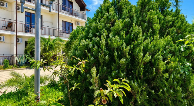 Отель Резиденция Апсны