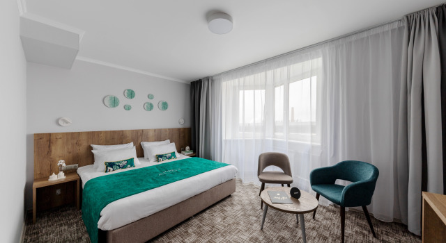 Superior Special Double room with city view Aliot Hotel