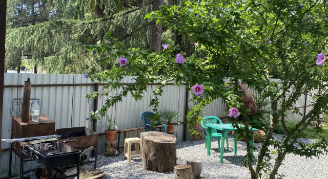 Vavilova 2  Guest house, Book Guesthouse Sukhum Abkhazia