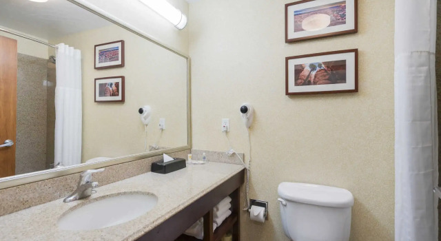 Люкс Comfort Inn & Suites Cedar City South