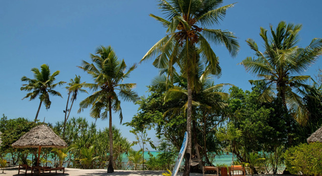 Tikitam Palms Boutique Hotel, Забронировать Бутик-отель Понгве Zanzibar Central