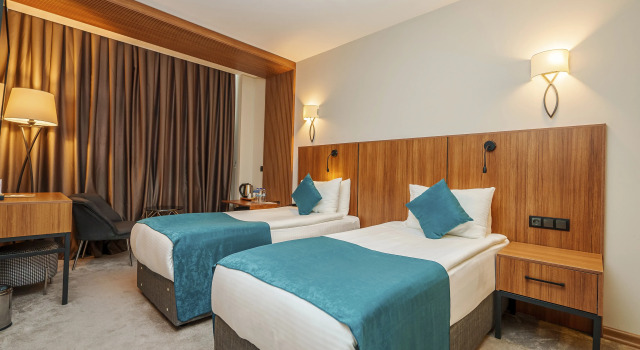 Двухместный номер Deluxe Library Hotel Erciyes