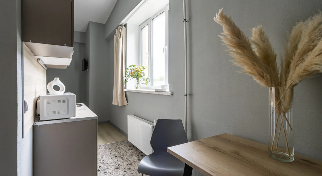 Superior with kitchen Double room Nomera Na Baltiyskoy Hotel