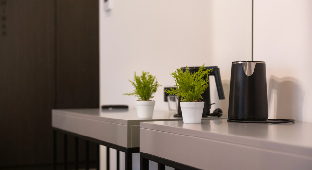 Appartamento doppio Deluxe Plaza Hotel
