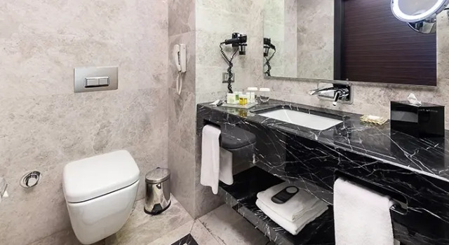 Двухместный номер Executive с видом на море Dedeman Bostanci Istanbul Hotel & Convention Center