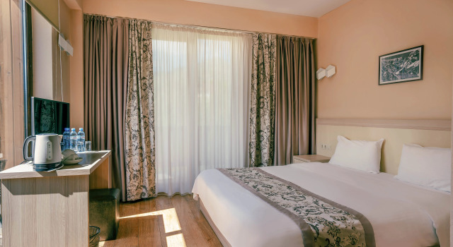 Двухместный номер Deluxe Hotel Gudauri Inn