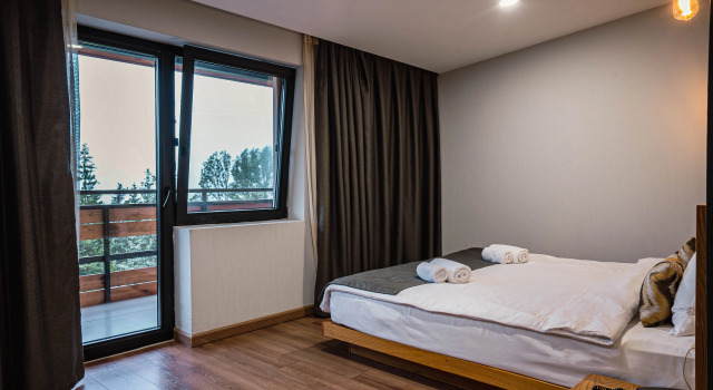 Двухместный номер Standard с фронтальным видом Отель Bakuriani Inn