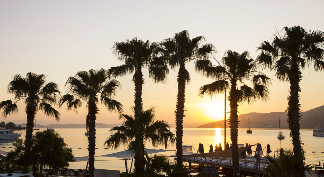 Отель Torbahan & Beach Club