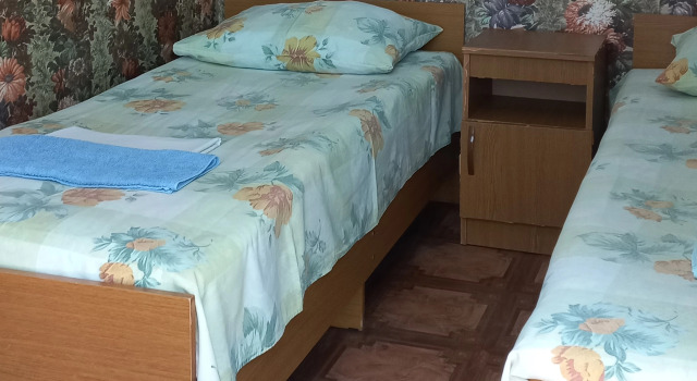 Двухместный номер Эконом Гостевой дом У Борисовны