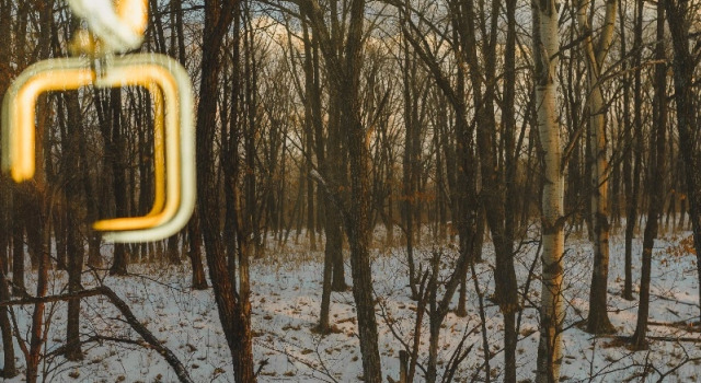 Апартаменты с красивым видом из окна Глэмпинг Ars_Frame