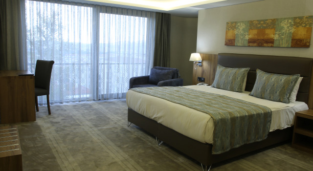 Deluxe dobbelt værelse Royal Termal Hotel