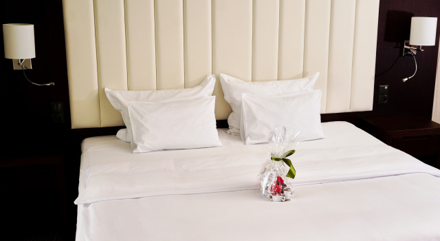 Двухместный номер Standard Copernicus Toruń Hotel