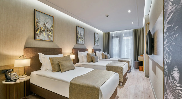 Трёхместный номер Standard Rayelin Hotel Istanbul Old City