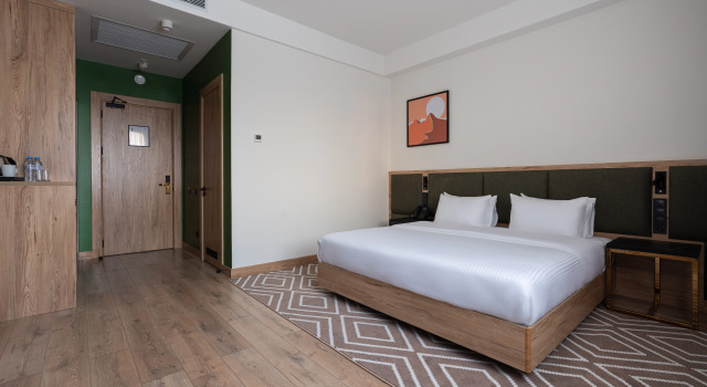 Deluxe Double room with city view THE ELEMENTS HOTEL
