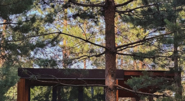 Двухместный Дом Forest Глэмпинг Альпен Камп