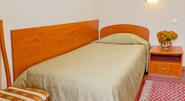 Şehir manzaralı Standart tek kişilik oda Electron Hotel