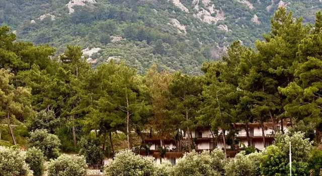 Отель Z-Villas Beach Hotel