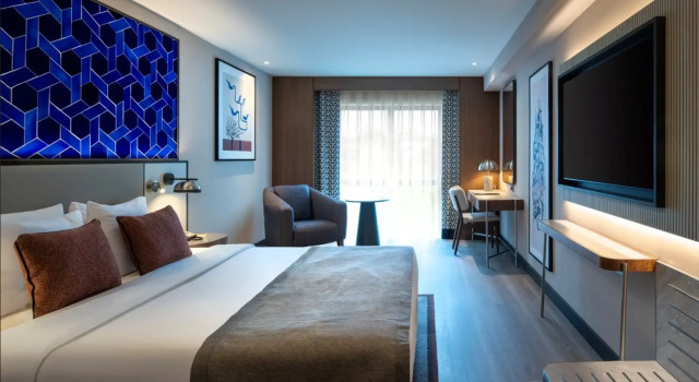 Двухместный номер Standard Mercure Istanbul Altunizade