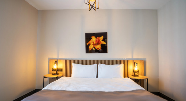 Двухместный номер Deluxe с видом на город Отель Leliko Suites