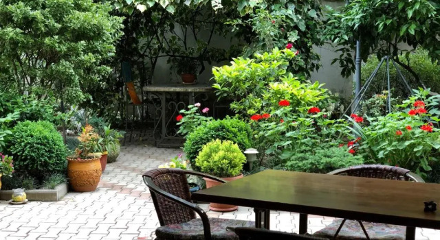 Sofiya Gruziya Kutaisi Ul, Zugdidskaya 17 Guest House, Book Guesthouse Hotels in Zugdidi with Breakfast, Breakfasts