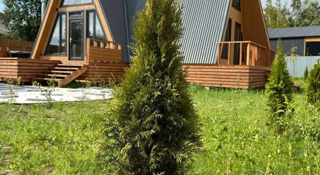 A-Frame Family 3 Guest house, Rezervovat Penzión Wellness hotely v Kolomna, SPA