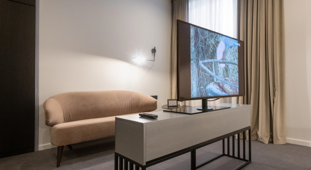 Appartamento doppio Deluxe Plaza Hotel