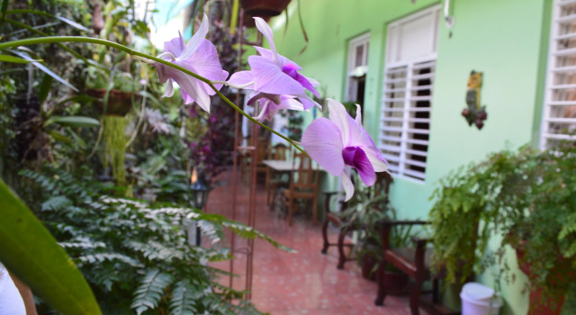 D´avila Casa Verde Hostel, Réserver Auberge de jeunesse Santa Clara Villa Clara