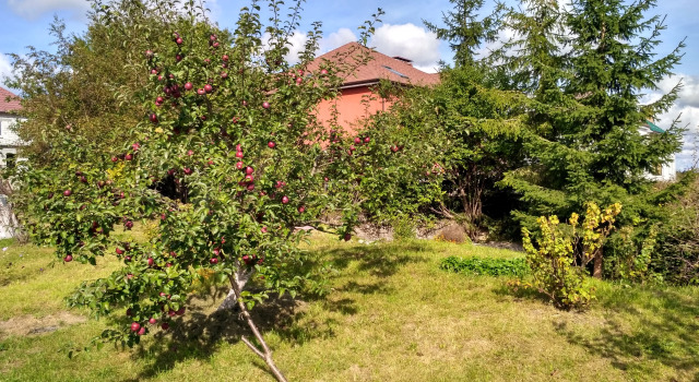 Homestay Vera Apartments, Buchen Sie Ferienwohnung Gwardeisk 