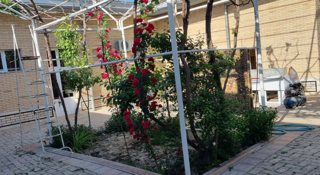 Muborak Hostel, Rezerwuj Hostel Samarkanda Uzbekistan