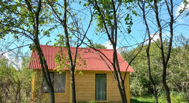 Четырёхместный коттедж Кемпинг Bars glamp