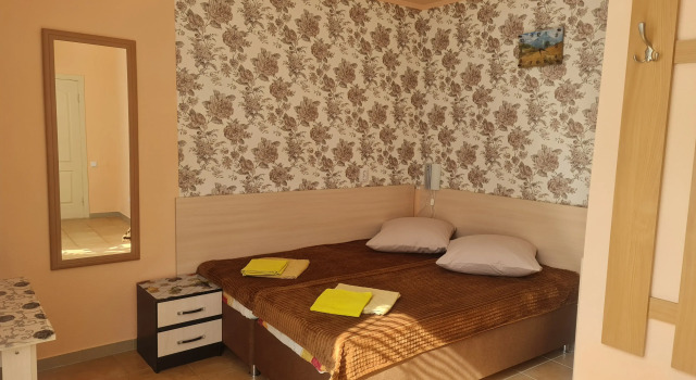 Standard Double room with balcony DelfiniYa Mini-Hotel