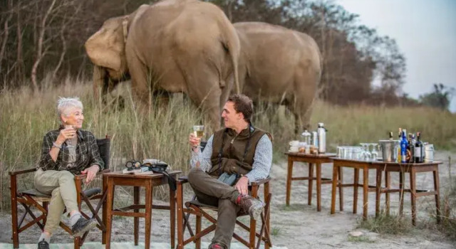Кемпинг Tigertops Elephant Camp