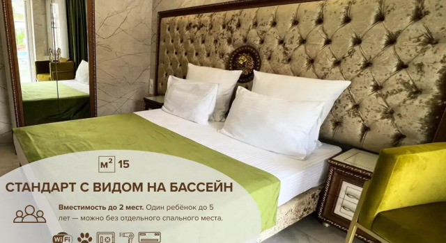 Двухместный номер Standard с видом на бассейн Отель Сенатор