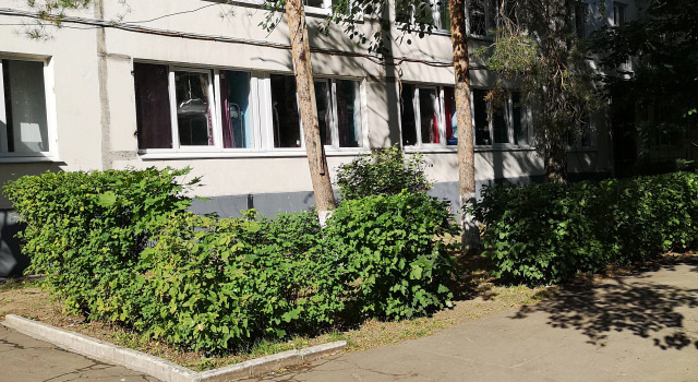 Milano Hostel, Book Hostel Hostels in SAO Area, Hostel