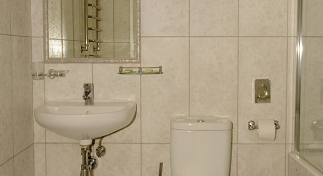 Standard- Enkelt værelse Mirskiy Posad Hotel