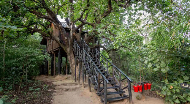 Жилое Помещение Pugdundee Safaris - Tree House Hideway