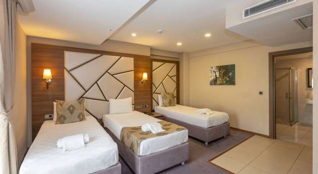 Трёхместный номер Standard Отель Litros Hotel & Spa