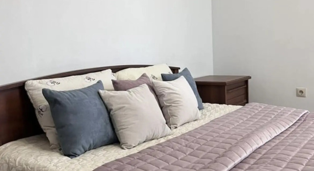 Uyutnaya kvartira v tsentre goroda Flat