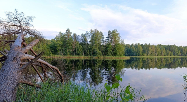 Zharynka Glamping, Book Campground Кurynsk Belarus