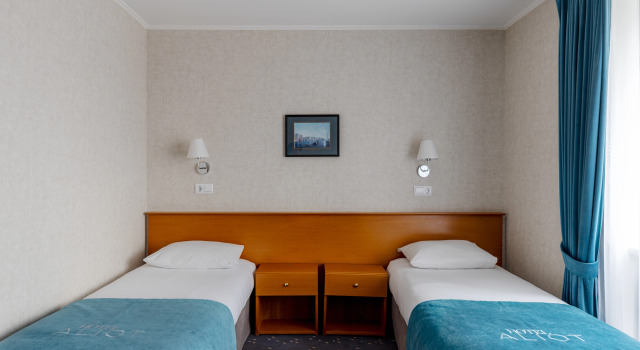Standard- dobbelt værelse med byudsigt Aliot Hotel